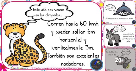 datos calientes de animalitos|Curiosidades que quizá no conocías de los animales.